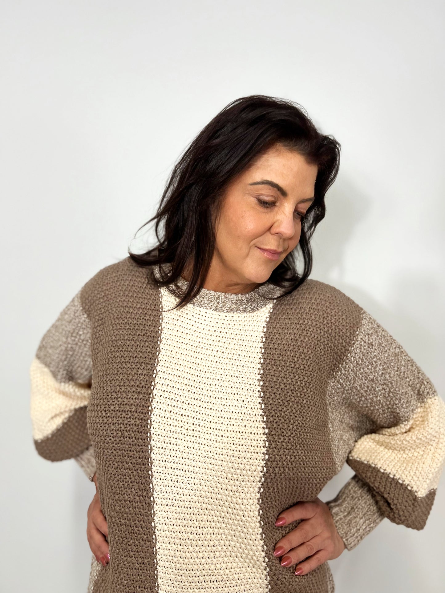 Mocha Color Block Sweater (Plus)